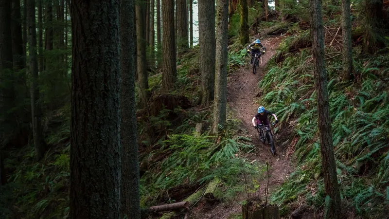 Specialized Fuse M4 Mountain Bike Frameset - Gloss Light Silver - Size XL-2