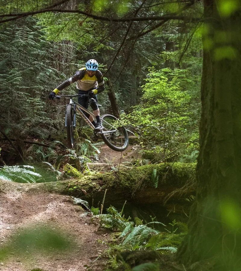 Specialized Fuse Comp 29 Mountain Bike - Satin Olive Green - Size X-Small-3