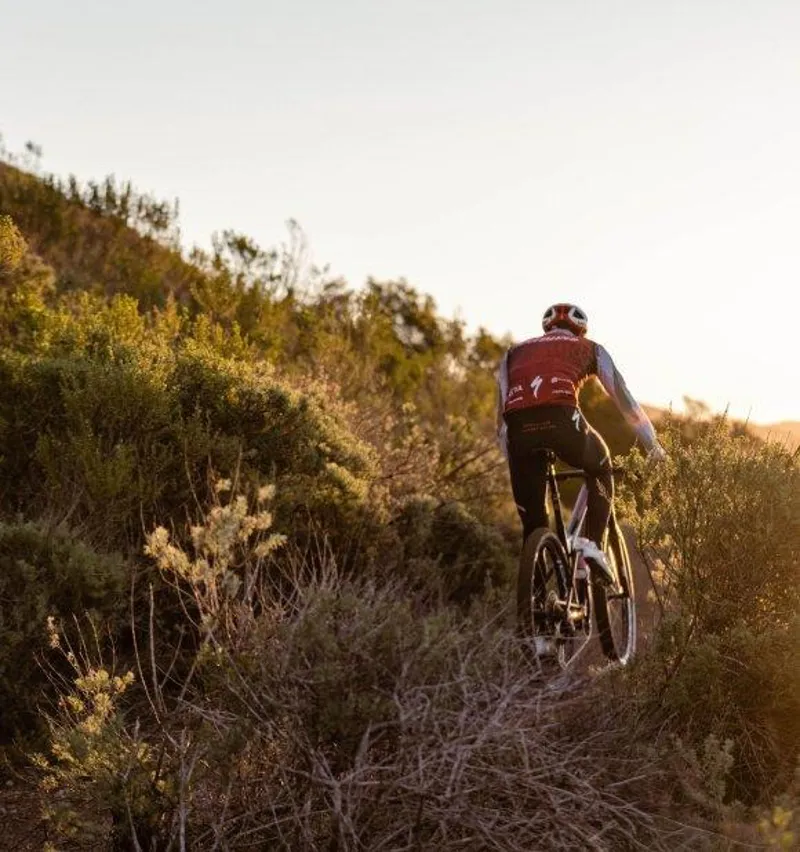 2024 Specialized Epic 8 Evo Pro Mountain Bike Frameset - Satin White Fog-3