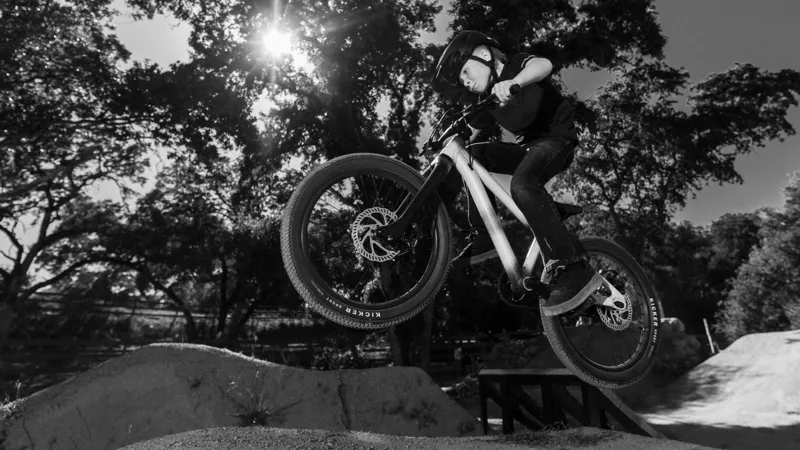 Specialized P.1 Series Dirt Jump Bike - Gloss Deep Marine-1