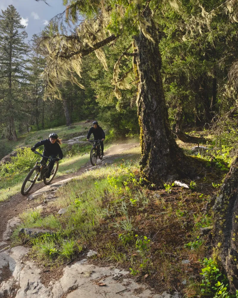 2025 Specialized Stumpjumper 15 Expert Mountain Bike - Electric Green-5