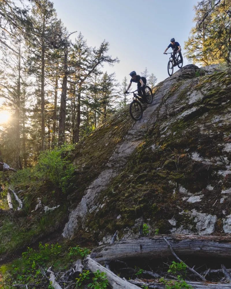 2026 Specialized Stumpjumper 15 Evo Comp 29 SRAM Eagle 70 Mountain Bike-6