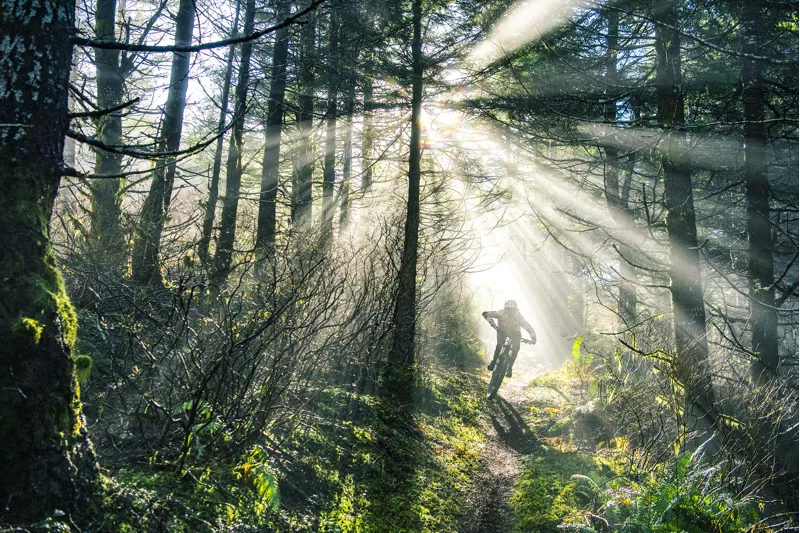 2024 Specialized Turbo Levo Expert T-Type Carbon Electric Bike - Obsidian S2-6