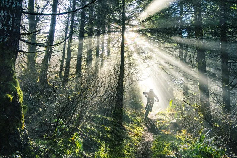 2024 Specialized Turbo Levo Comp Alloy Electric Mountain Bike - Black-6