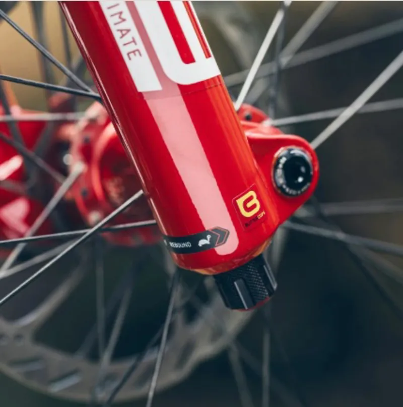 RockShox Zeb Ultimate Charger 3.1 RC2 29 inch Fork A3 - Red-4