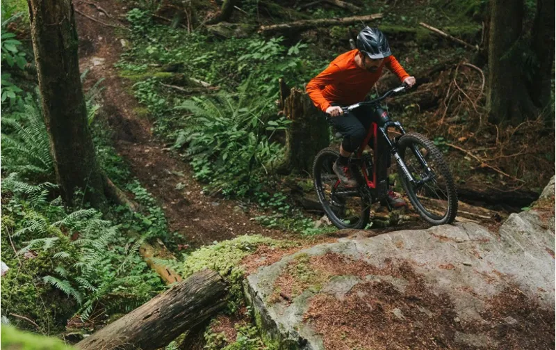 RockShox Zeb Ultimate Charger 3.1 RC2 29 inch Fork A3 - Red-7