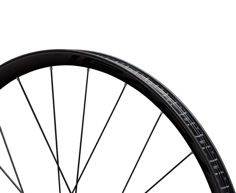 Roval Control SL VI Solix 29er Rear Mountain Bike Wheel 24H - Satin Carbon-2