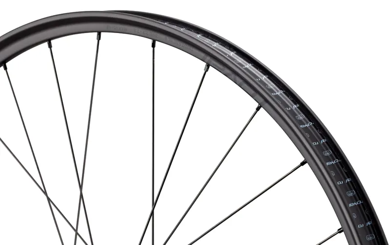 Roval Traverse SL II Hydra2 29 Mountain Bike Rear Wheel 28H - Satin Carbon-3