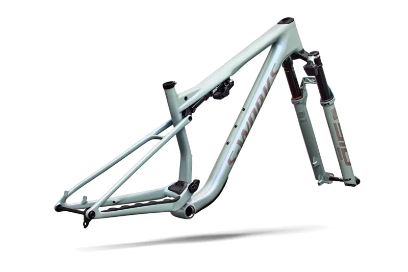 2027 S-Works Epic 9 XC Mountain Bike Frameset - Gloss Agave Grey-2