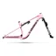 2027 S-Works Epic 9 XC Mountain Bike Frameset - Gloss Amethyst Frost