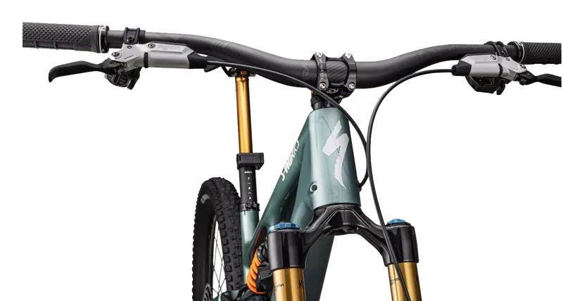 2025 S-Works Stumpjumper 15 LTD Fox DHX Valve Neo Mountain Bike - Gloss Fjord-3