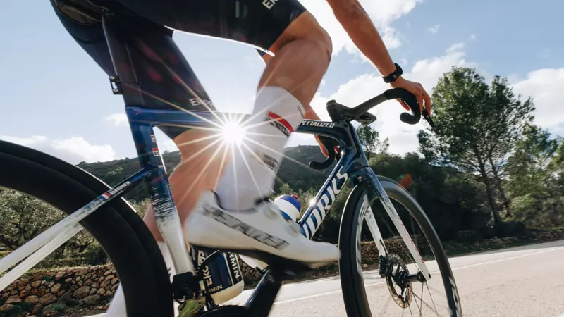 2025 S-Works Tarmac SL8 Road Bike Frameset - Soudal Quick-Step Team - Size 58cm-3