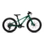 2026 Specialized Riprock 20 Kids Mountain Bike - Gloss Pine Green