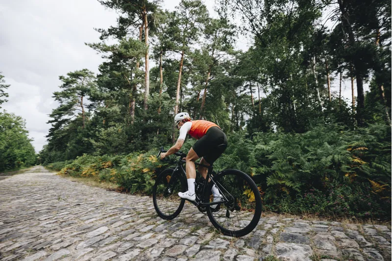 2024 Specialized Roubaix SL8 Pro Road Bike - Metallic Pine - Size 52cm-5