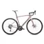 2025 Specialized Roubaix SL8 Sport 105 Road Bike - Gloss Champagne