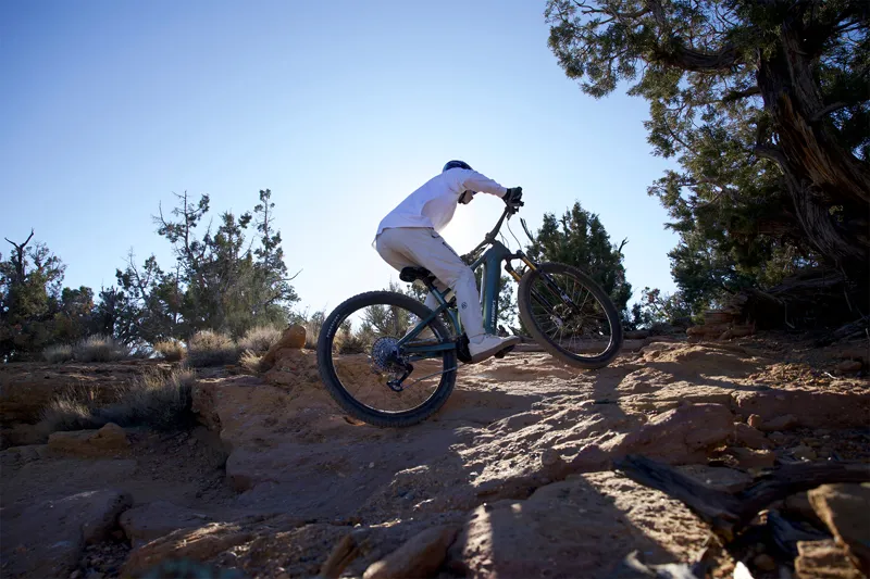 2026 S-Works Turbo Levo R Electric Mountain Bike - Gloss Premium Fjord-3