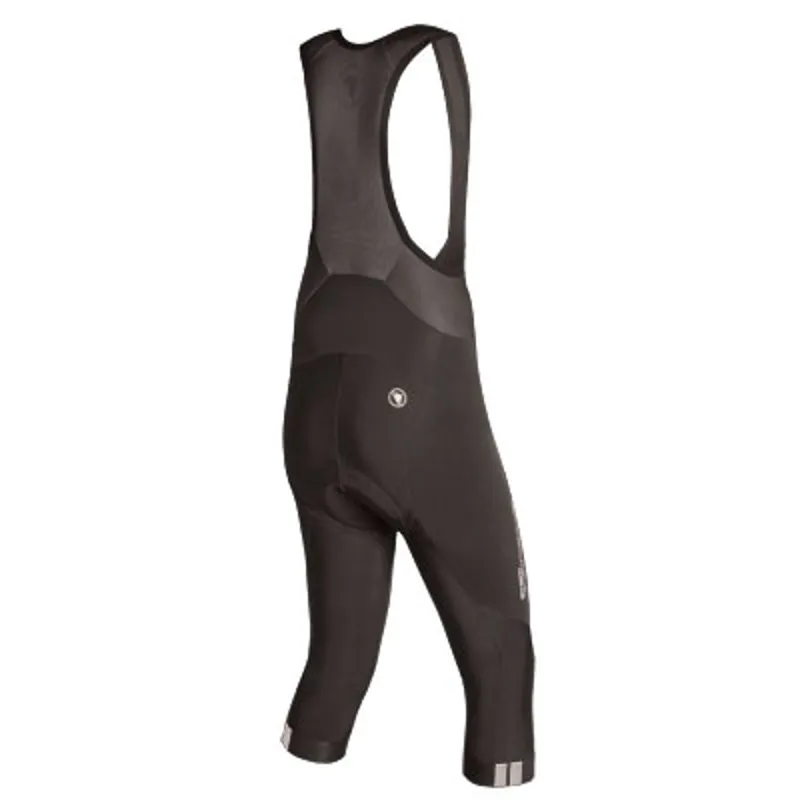 Endura FS260-Pro Thermo Mens Bibknicker - Black-1