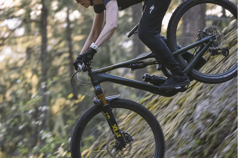 2025 Specialized Stumpjumper 15 Fox Coil Alloy Mountain Bike - Brushed - Size S2-6