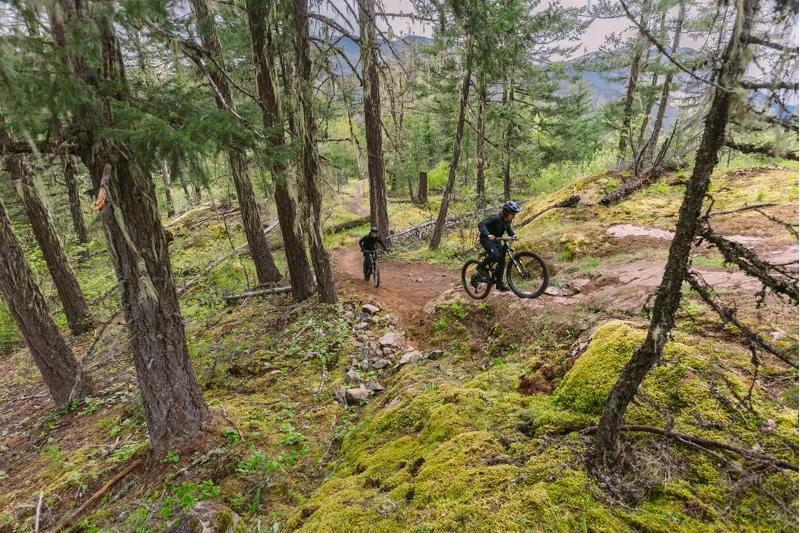 2025 Specialized Stumpjumper 15 Comp Alloy Mountain Bike - Indigo - S3-4