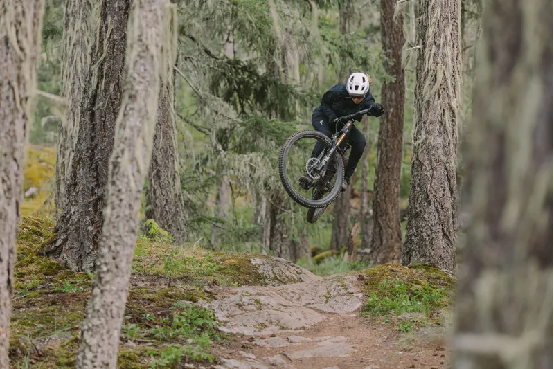 2025 Specialized Stumpjumper 15 Alloy Mountain Bike - Gloss White Mountains-5