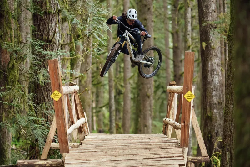 2025 S-Works Turbo Levo SL 2 Carbon Electric Mountain Bike - Brown Tint-9