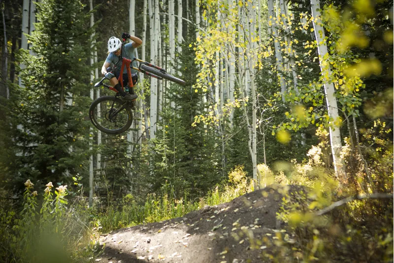 2022 Specialized Stumpjumper Pro Full Suspension Mountain Bike - Oasis-4