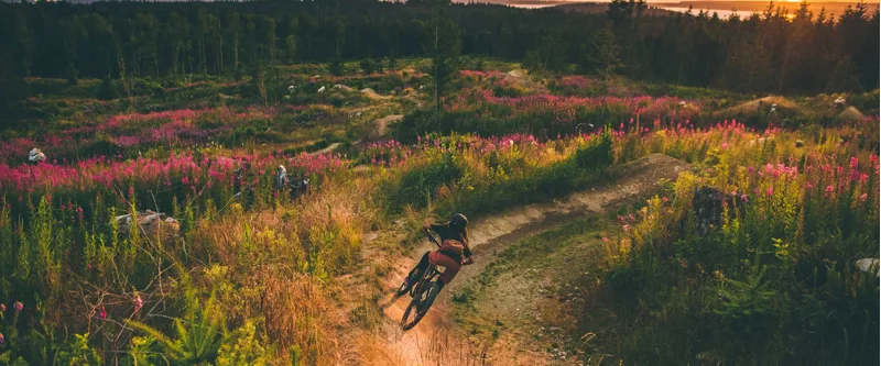 SRAM GX Crank Arm Assembly ISIS Black Self Extracting Bolt-3