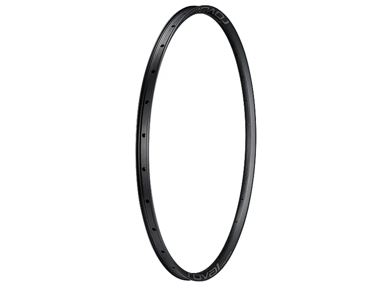 Roval S193700009 MY19 Control 29 Front and Rear Rim Alloy 28H 25mm Internal