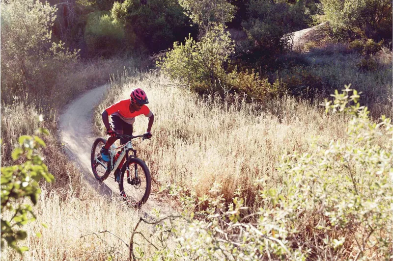 2019 Giant Stance 2 Mens Mountain Bike - Gloss Gun Metal Black-2