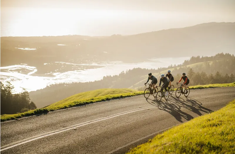 2019 Cannondale Synapse Hi-Mod Disc Red eTap Road Bike - Sage Grey-2