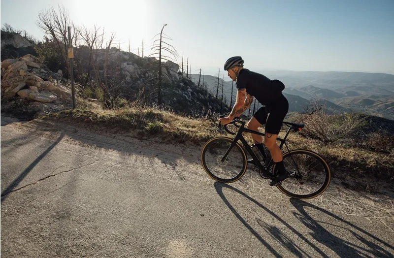 2019 Cannondale Synapse Hi-Mod Disc Red eTap Road Bike - Sage Grey-3