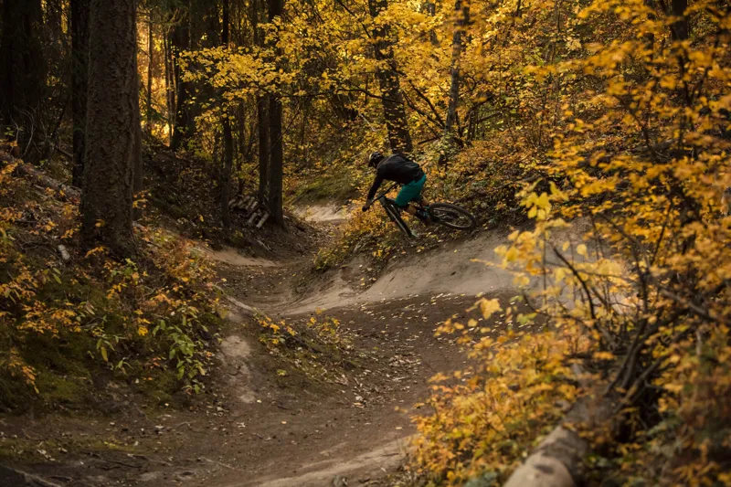 2019 Yeti SB100 T-Series 29 Mountain Bike Frame - Raw-1