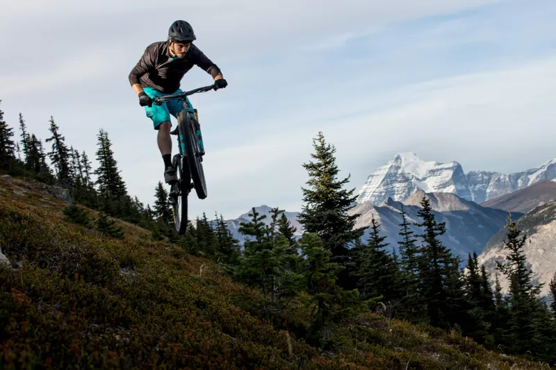 2019 Yeti SB100 T-Series 29 Mountain Bike Frame - Raw-2