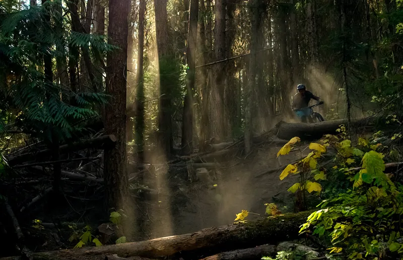 2019 Yeti SB100 GX Eagle C-Series 29 Mountain Bike - Raw/Grey-5