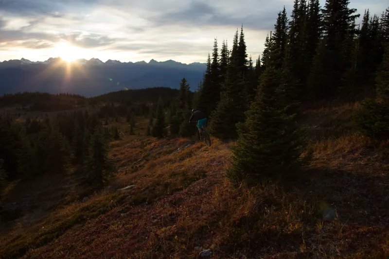 2019 Yeti SB100 GX Eagle C-Series 29 Mountain Bike - Raw/Grey-10